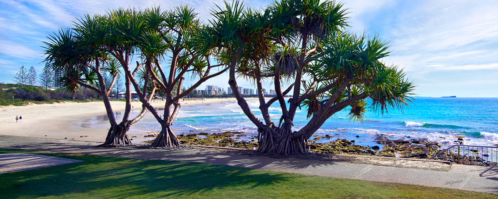 Alexandra Headland Perfect Day