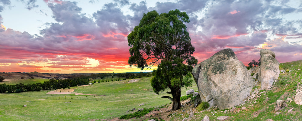 Lone tree and granite boulders on a hillside at sunset near Batesford, Victoria - fine art photography print by Adam Gormley