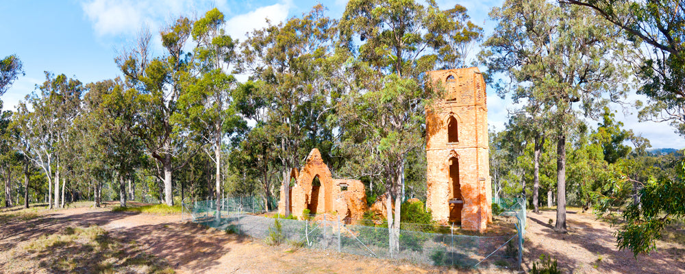 Brick ruins of an unfinished church among gum trees at Boydtown, New South Wales - fine art photography print by Adam Gormley