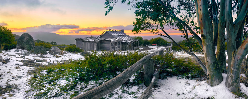 Snow gum framing Craig's Hut under a golden evening sky, Victoria - fine art photography print by Adam Gormley