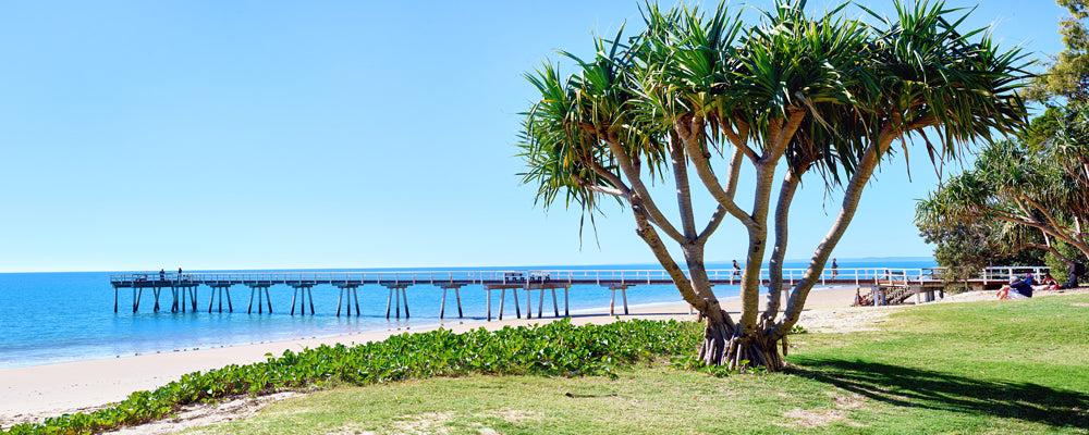Pandanus and jetty over calm blue water at Torquay, Hervey Bay, Queensland - fine art photography print by Adam Gormley