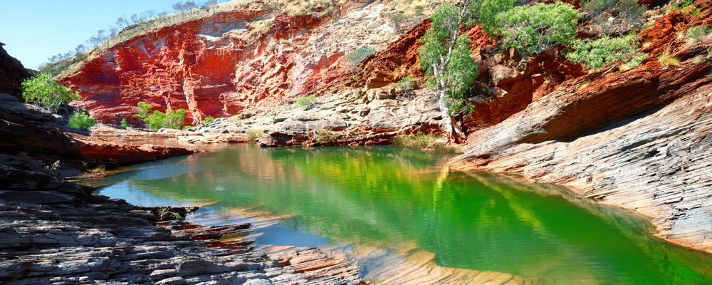 Green pool and red rock walls in Hamersley Gorge, Karijini National Park, Pilbara, Western Australia - fine art photography print by Adam Gormley