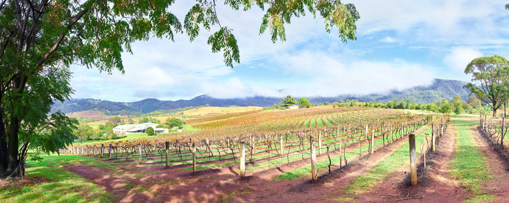 Lindemans Hunter Valley