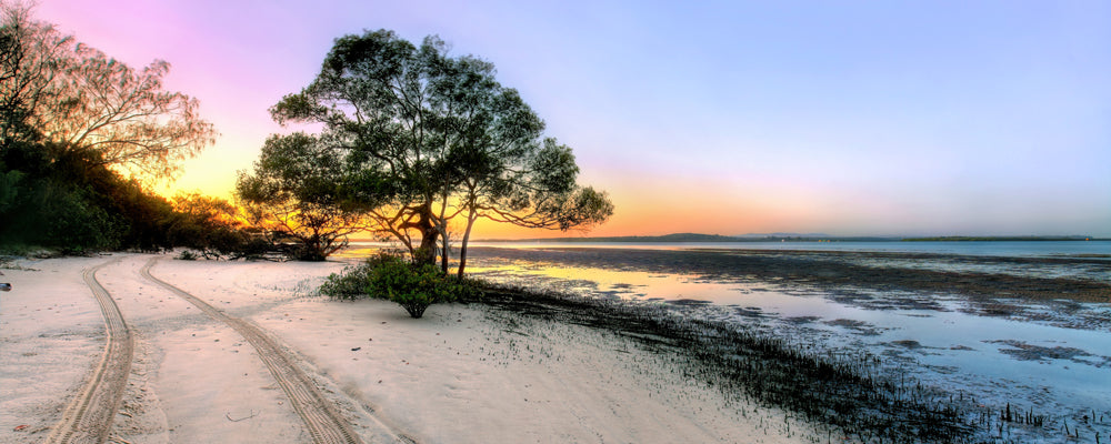 Tree and tyre tracks on white sand under a pink sky at Inskip Point, Queensland - fine art photography print by Adam Gormley