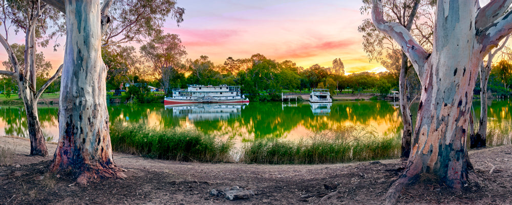 Paddle steamer on the Murray River at sunset framed by river red gums, Victoria - fine art photography print by Adam Gormley