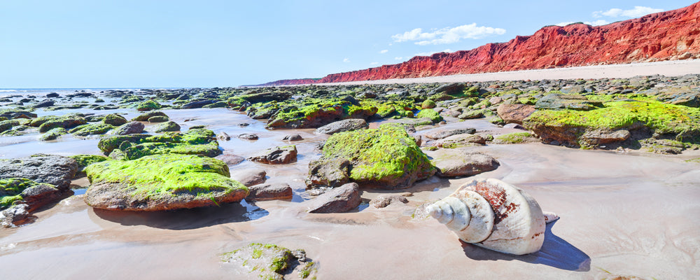 James Price Point