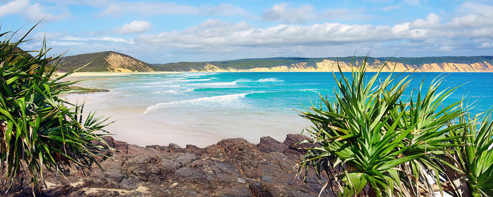 Pandanus framing turquoise surf and coloured sand cliffs, Rainbow Beach, Queensland - fine art photography print by Adam Gormley