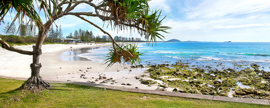 Alexandra Headland Pandanus Surf