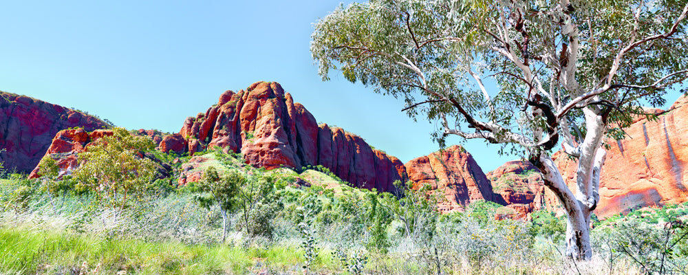 Red sandstone domes and a ghost gum in Arnhem Land, Northern Territory - fine art photography print by Adam Gormley