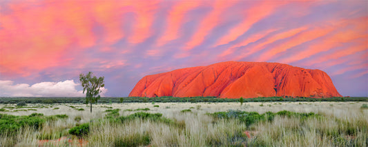 Striped pink clouds above Uluru at sunset, Northern Territory - fine art photography print by Adam Gormley