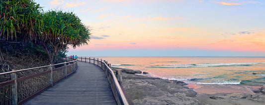 Bulcock Boardwalk
