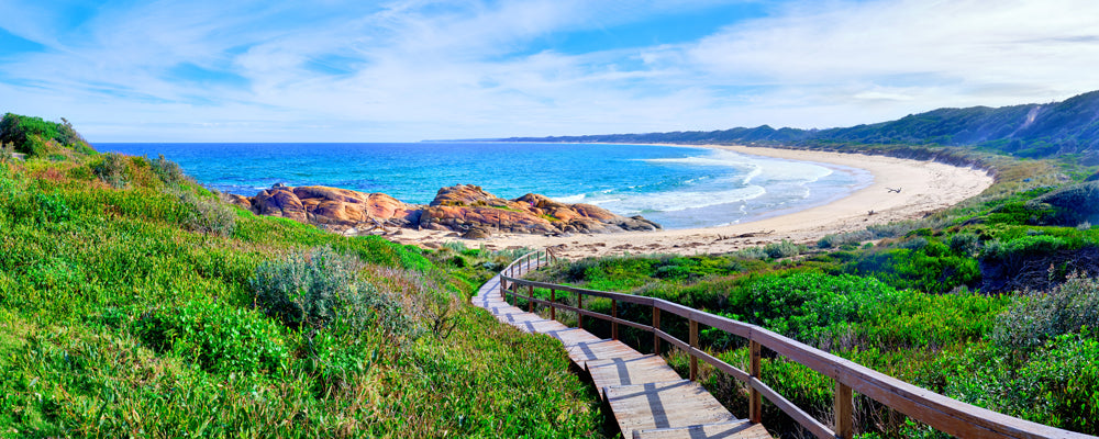 Boardwalk through coastal heath to Salmon Rocks, Cape Conran, Victoria - fine art photography print by Adam Gormley
