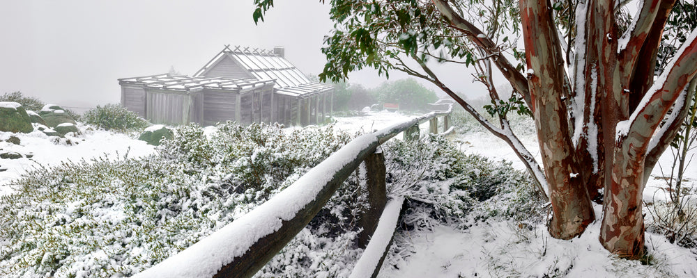 Fresh snow on the fence and snow gums at Craig's Hut, Victoria - fine art photography print by Adam Gormley