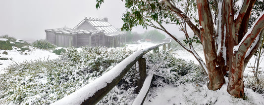 Fresh snow on the fence and snow gums at Craig's Hut, Victoria - fine art photography print by Adam Gormley