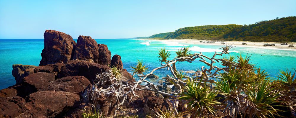 Rocks, pandanus and turquoise water at Double Island Point, Queensland - fine art photography print by Adam Gormley