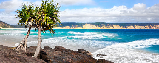 Double Island Pandanus Surf