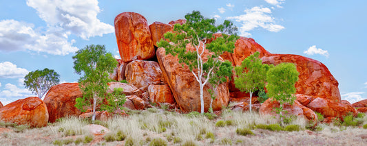 Stack of red granite boulders with gum trees at Karlu Karlu (Devils Marbles), Northern Territory - fine art photography print by Adam Gormley