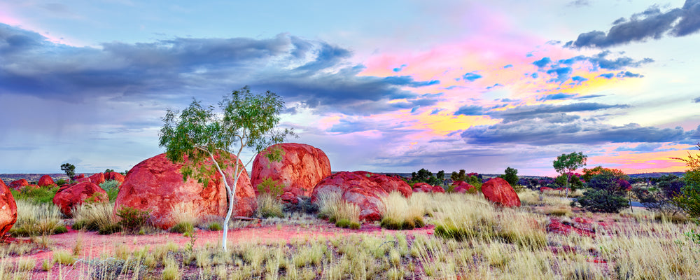 Pastel sunset sky over red boulders and spinifex at Karlu Karlu (Devils Marbles), Northern Territory - fine art photography print by Adam Gormley