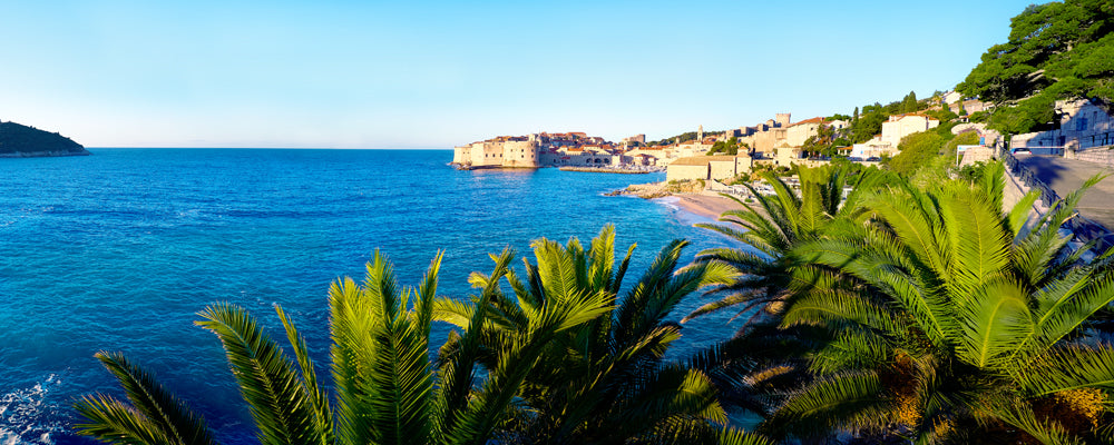 Palm fronds framing the Adriatic and Dubrovnik Old Town, Croatia - fine art photography print by Adam Gormley