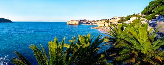 Palm fronds framing the Adriatic and Dubrovnik Old Town, Croatia - fine art photography print by Adam Gormley