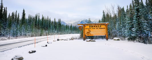 Denali National Park entrance sign beside a snowy spruce-lined road, Alaska - fine art photography print by Adam Gormley