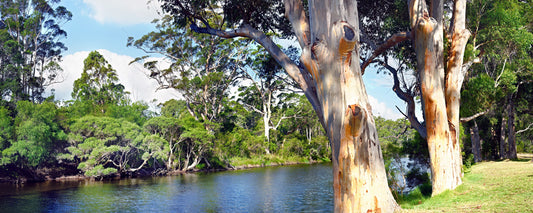 Denmark River
