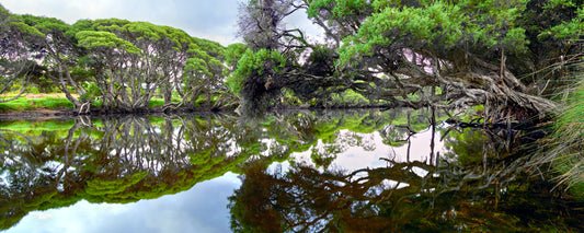 Denmark River