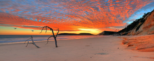 Double Island Mackerel Sunrise