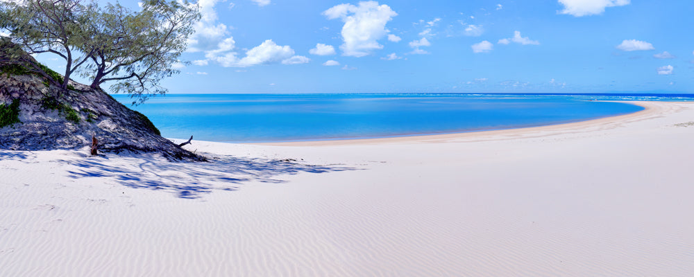 White sand and blue water at Sandy Cape, K'gari (Fraser Island), Queensland - fine art photography print by Adam Gormley