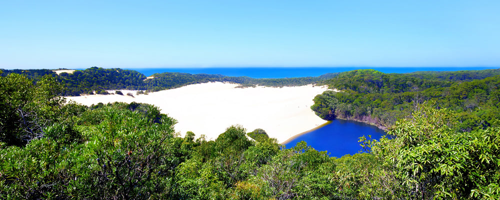 Lake Wabby beside the Hammerstone Sandblow, K'gari (Fraser Island), Queensland - fine art photography print by Adam Gormley