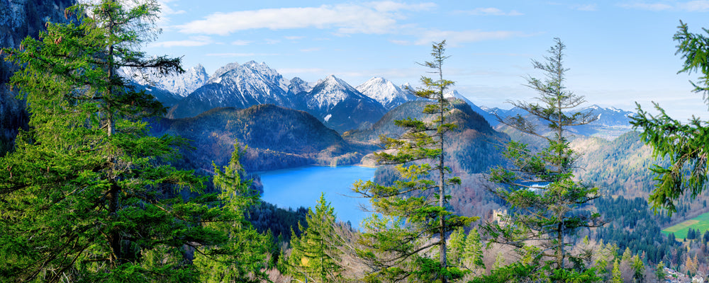 The blue Alpsee below snow-capped peaks and fir trees, Bavarian Alps, Germany - fine art photography print by Adam Gormley