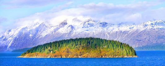 Forested island below snowy mountains in Glacier Bay National Park, Alaska - fine art photography print by Adam Gormley