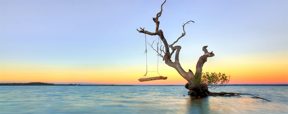 Wooden swing hanging from a dead tree in calm water at dusk, Inskip Point, Queensland - fine art photography print by Adam Gormley