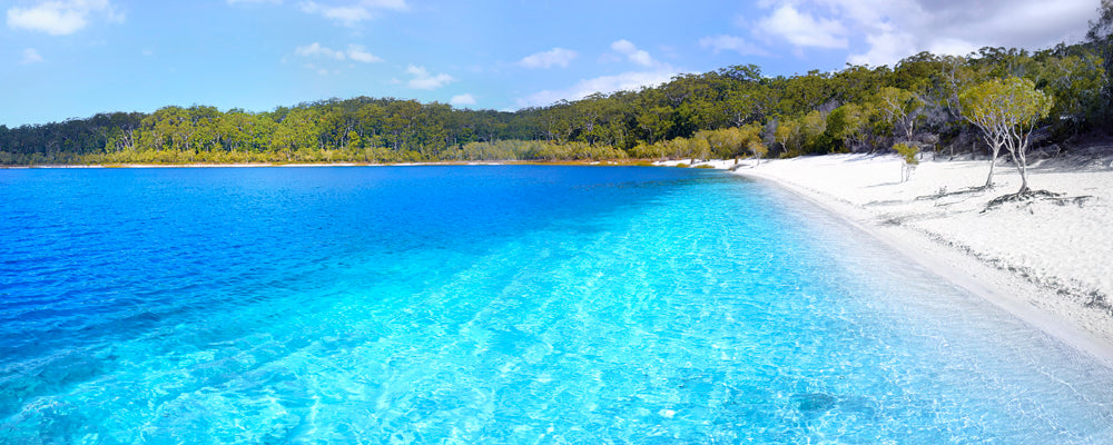 White sand shore and clear water of Lake McKenzie, K'gari (Fraser Island), Queensland - fine art photography print by Adam Gormley