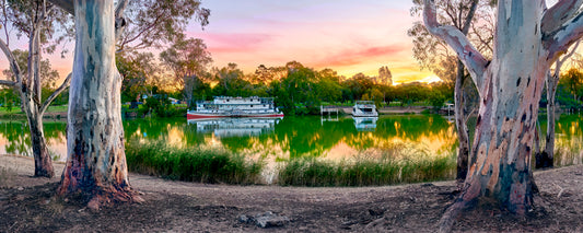 Paddle steamer on the Murray River at sunset framed by river red gums, Victoria - fine art photography print by Adam Gormley