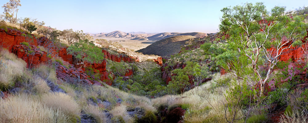 Valley of spinifex and snappy gums between red rock near Tom Price, Pilbara, Western Australia - fine art photography print by Adam Gormley