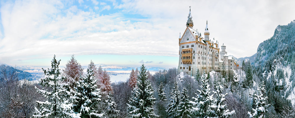 Neuschwanstein Castle above snow-covered fir trees in winter, Bavaria, Germany - fine art photography print by Adam Gormley