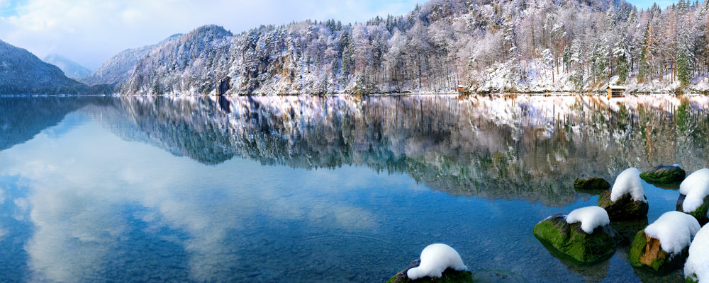 Snowy forest reflected in the clear water of the Alpsee, Bavaria, Germany - fine art photography print by Adam Gormley