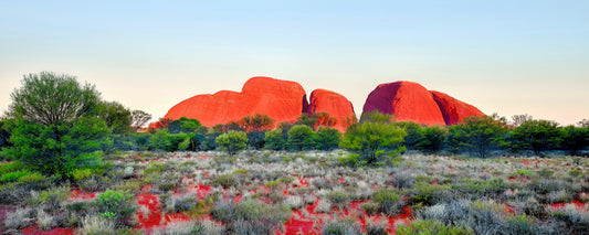 The domes of Kata Tjuta glowing red at sunset, Northern Territory - fine art photography print by Adam Gormley
