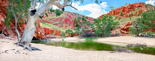 Ghost gum beside the waterhole at Ormiston Gorge, West MacDonnell Ranges, Northern Territory - fine art photography print by Adam Gormley
