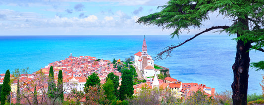 Red rooftops and bell tower of Piran on the Adriatic, Slovenia - fine art photography print by Adam Gormley