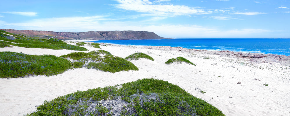 White sand dunes and blue ocean at Red Bluff beach, Quobba Station, Western Australia - fine art photography print by Adam Gormley