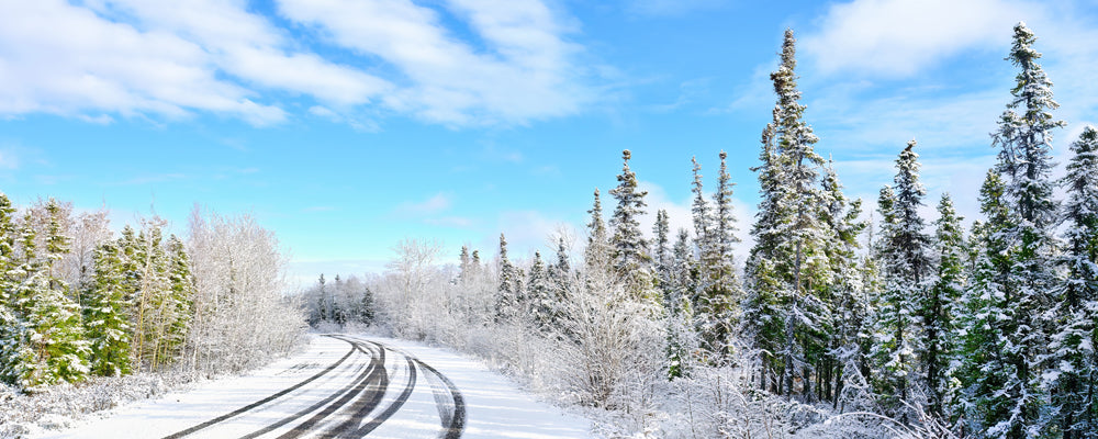 Tyre tracks on a snowy road through frosted spruce trees, Alaska - fine art photography print by Adam Gormley
