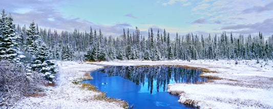 Blue pool reflecting snow-dusted spruce trees in a frosty clearing, Alaska - fine art photography print by Adam Gormley
