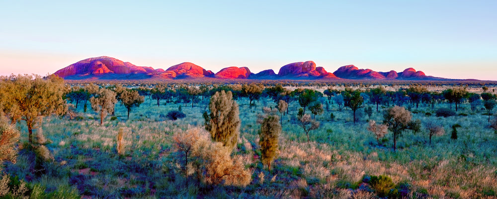 The domes of Kata Tjuta glowing at sunrise across the desert, Northern Territory - fine art photography print by Adam Gormley