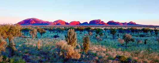 The domes of Kata Tjuta glowing at sunrise across the desert, Northern Territory - fine art photography print by Adam Gormley