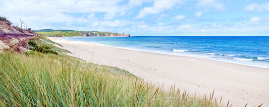Dune grass and the long sweep of Woolamai Beach, Phillip Island, Victoria - fine art photography print by Adam Gormley